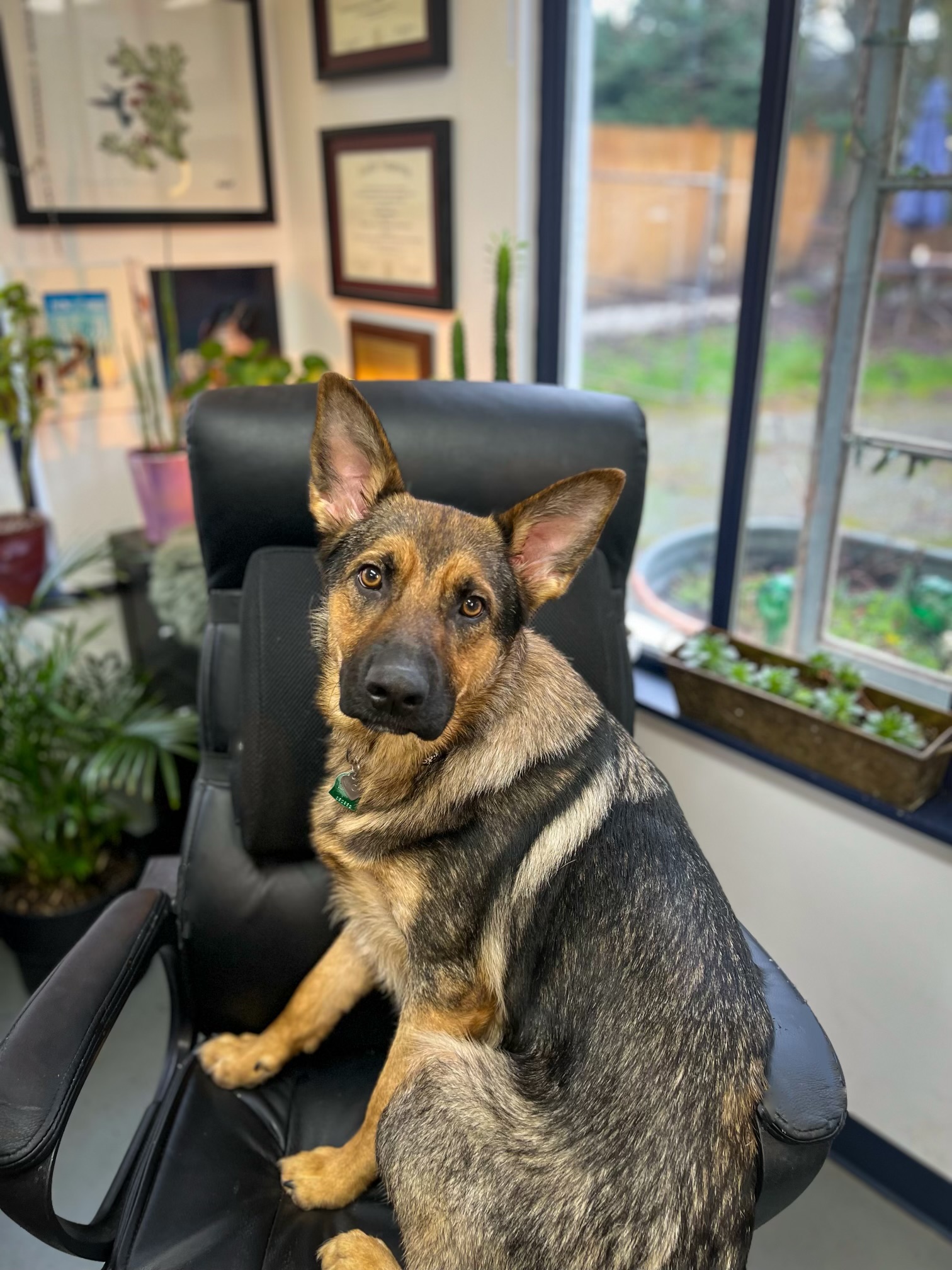 Our Team Ahora Construction